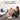 CogniCaps - Canine Cognitive Function Supplement for Dogs